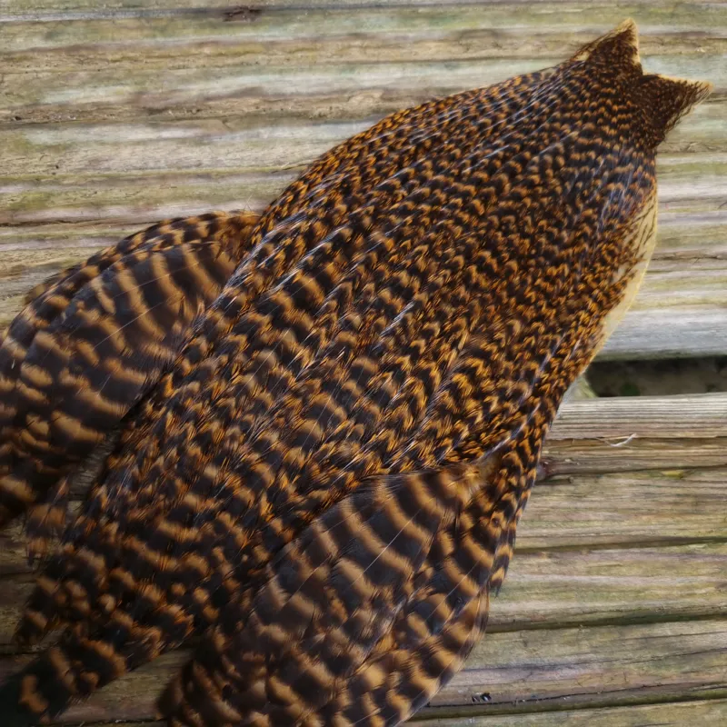 Whiting Exclusive Grizzly Hen Cape in Ginger-9